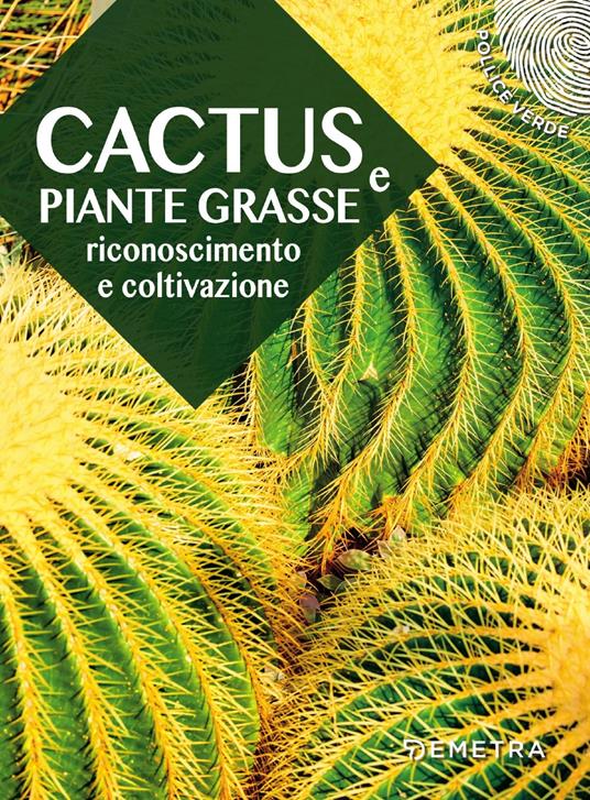 AAVV CACTUS PIANTE GRASSE